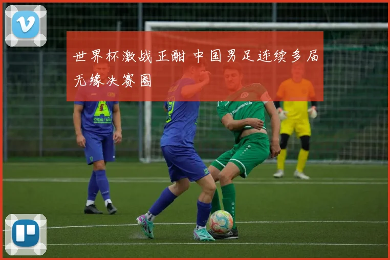 世界杯激战正酣 中国男足连续多届无缘决赛圈