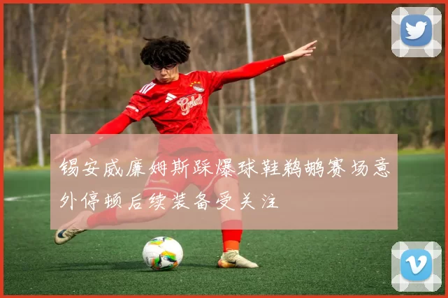 锡安威廉姆斯踩爆球鞋鹈鹕赛场意外停顿后续装备受关注