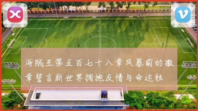 海贼王第五百七十八章风暴前的徽章誓言新世界拥抱友情与命运轨