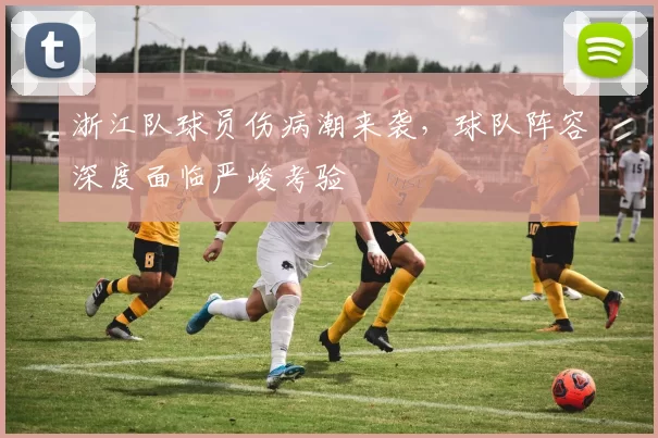 浙江队球员伤病潮来袭,球队阵容深度面临严峻考验