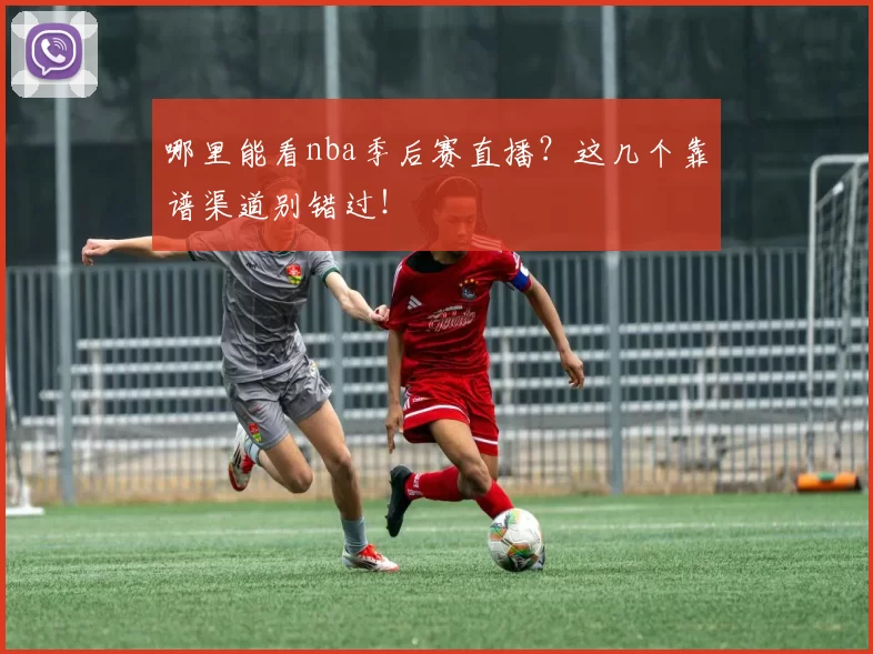 哪里能看nba季后赛直播?这几个靠谱渠道别错过!