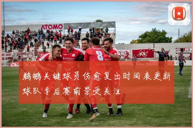 鹈鹕关键球员伤愈复出时间表更新球队季后赛前景受关注