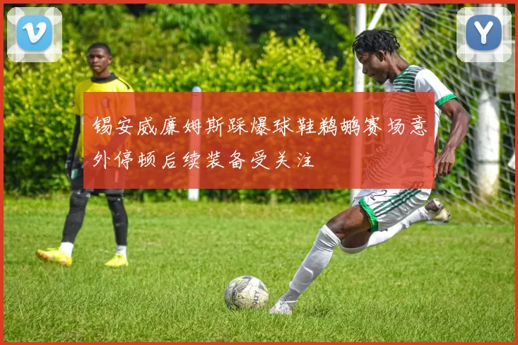 锡安威廉姆斯踩爆球鞋鹈鹕赛场意外停顿后续装备受关注